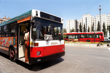 Bus in Granada