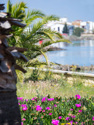 Isla Canela - Punta del Moral