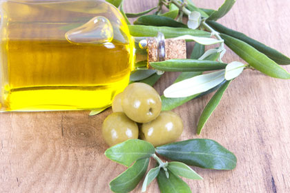 Olivenöl aus Andalusien