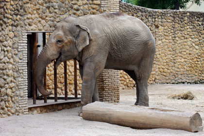 Zoo in Andalusien
